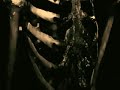 Demonata 6-Hell is Revealed! Demonata 6-Hell is Revealed!