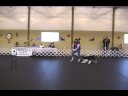 Canine Musical Freestyle TV Medley Michele & Listo