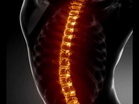 Chiropractors Conyers Ga