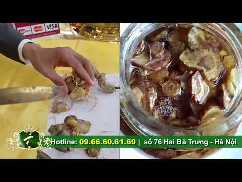 Cửa hàng bán Sâm ngọc linh Ngâm mật ong uy tín, chất lượng