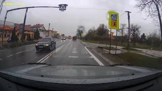 Kultura na drodze! Szybki poradnik w wykonaniu psa jak zachować się na przejściu dla pieszych :D