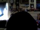 lamiyah-singing-bleeding-love-by-leona-lewis-request.html