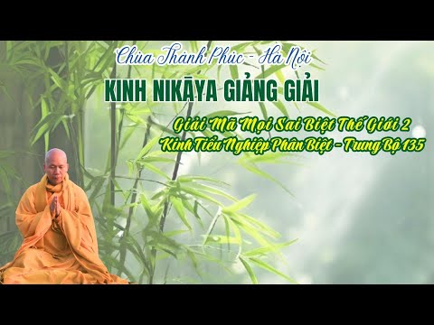NIKAYA Giảng Giải - Giải Mã Mọi Sai Biệt Thế Giới 2 - Kinh Tiểu Nghiệp Phân Biệt - Trung Bộ 135