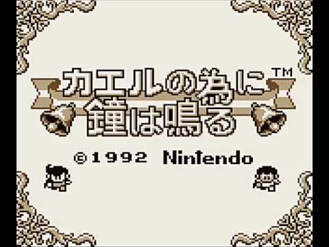 動画