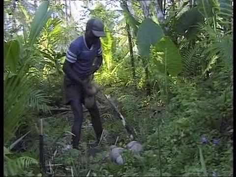 A lesson in Eco-Anarchism from ...