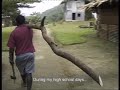 A lesson in Eco-Anarchism from Bougainville