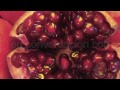Dr. Aris Latham - El Padre de la Comida Viva Gourmet - Conferencia en español