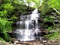Ganoga Falls-Rickett\