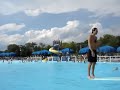 Best Dive Ever