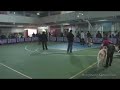 Hong Kong Kennel Club - The 153 All Breed Championship Dog Show B.Inter.P.I.S.