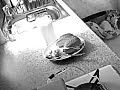 Pip Petrie Making Lunch Take Three