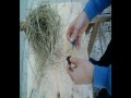 fuoco_acciarino_pietra.wmv