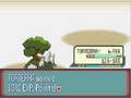 Pokemon Ruby Advanced Reign of Legends Vs. Gym Leader Blaine