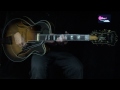 Guitar-View.com Peerless Monarch