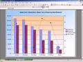 Quick & Easy Excel Charts No. 2