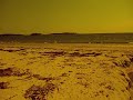 Incarnation 1.01: Protozoa