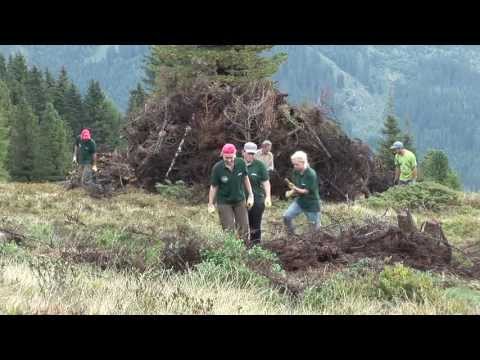 Volunteer abroad on mountain pastures in Tirol - Farming in the Alps