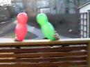 Tom und Rano Tom und Rano