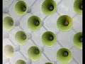 Trendease EcoChic: Sustainable Habitat 2020 Trendease EcoChic: Sustainable Habitat 2020