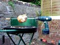 Spitroast Chicken Spitroast Chicken