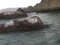 La familia en bote por paracas