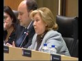 Pleno Noviembre 2010 - Consejos de la Juventud y Mujer