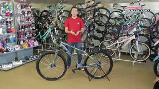 Stinger Graphite HD 29