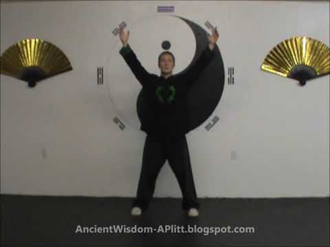 how to practice zhan zhuang