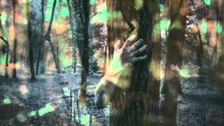 Forest Spirit