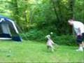 Freedom Playing Fetch 3/3