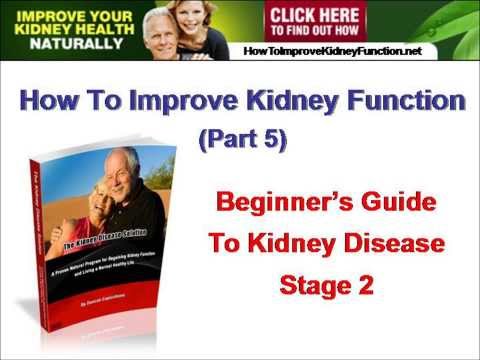 how to improve kidney function