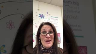 A Mentor Experience
