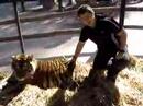 My Tiger My Tiger