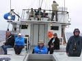 the-searcher-long-range-pelagic.html