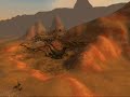 World of Warcraft Warrior PvP