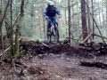 killurney woods, mountain biking