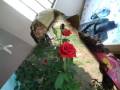 videos de Ana Karolline**