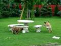 videos de Playing