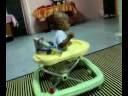 Faris Hyper Boy
