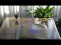 MindMap 2010 unboxing マインドマップ手帳　2010年度版