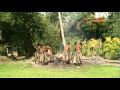 Fiji scuba diving at Beqa Lagoon Resort - Feb 2010 ...