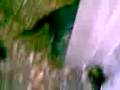 videos de Cats numa juega