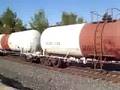 UP 4979 quality manifest freight south