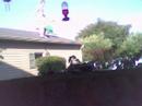 Crack Killz Skateboarding