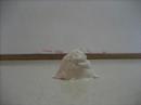 Margaux and Sydney's Flower Claymation