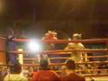 Boxe no Garrido- Nocaute!