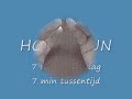 Mudra 1