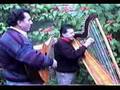 Camilo Zuñiga y Mario Garcia - Arpa - Camino de Luna