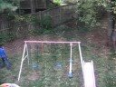 2 boys in my backyard
