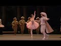 Alina-Cojocaru-Rose-